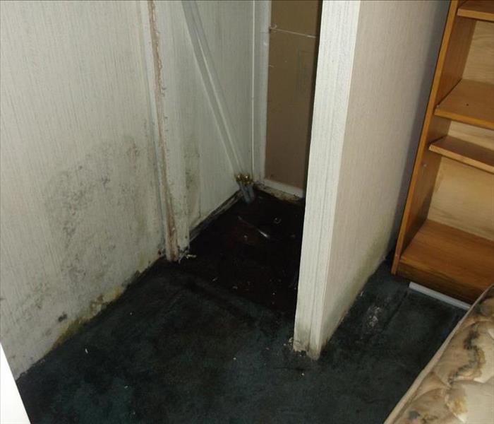 closet with mold damage on the white walls