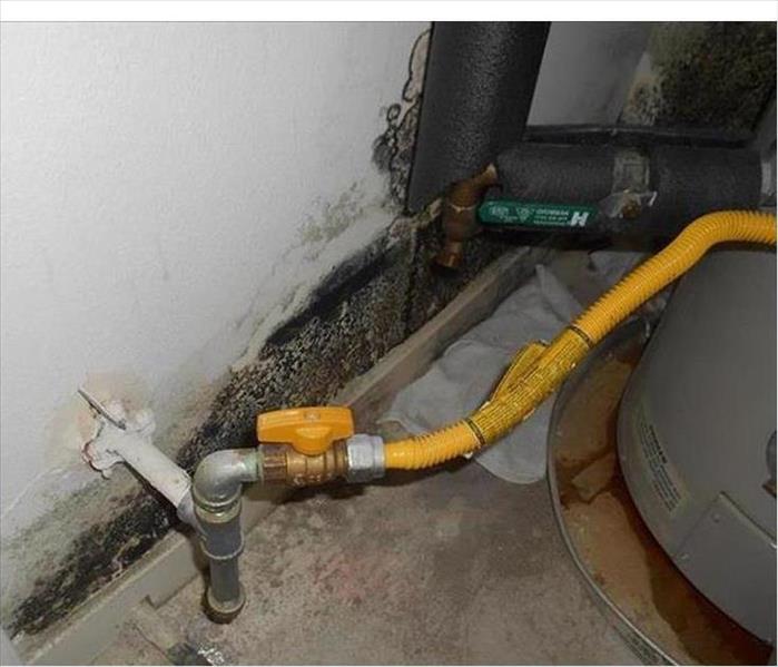 mold damage on white wall with a yellow pipe coming out of the wall