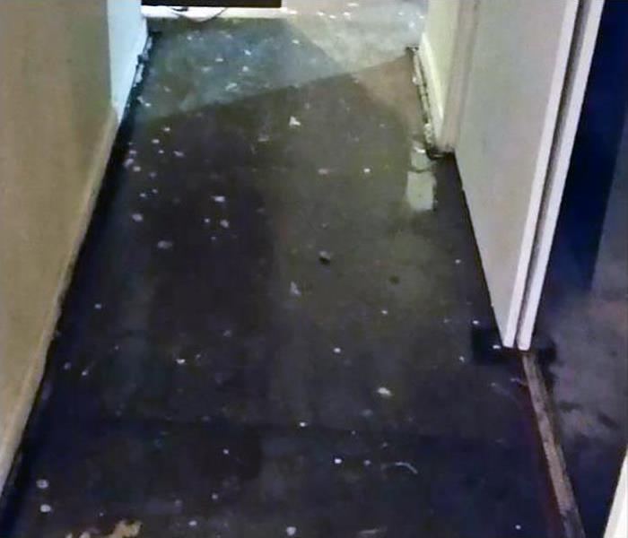 hallway with black carpet covered in water and debris