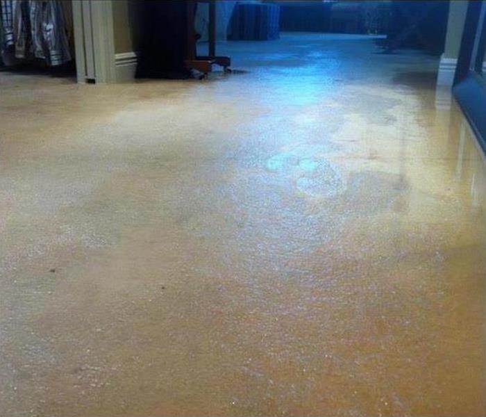 tan carpeting in a room soaked with water damage