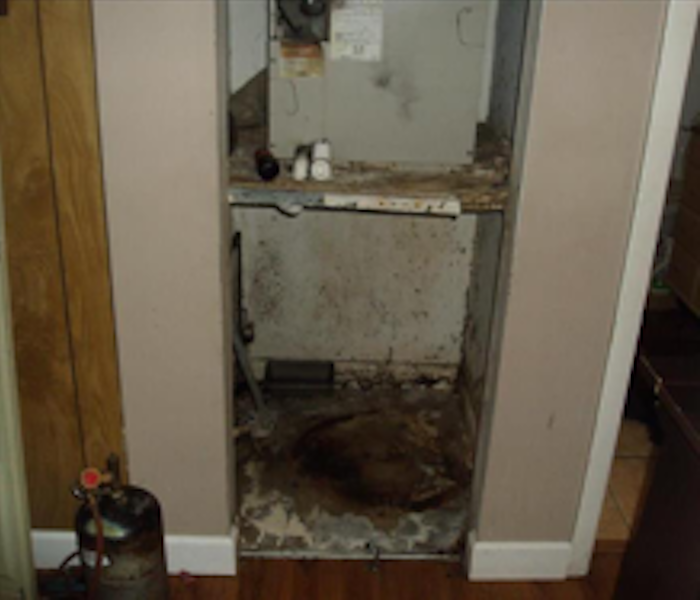 closet with walls and floor covered in mold damage