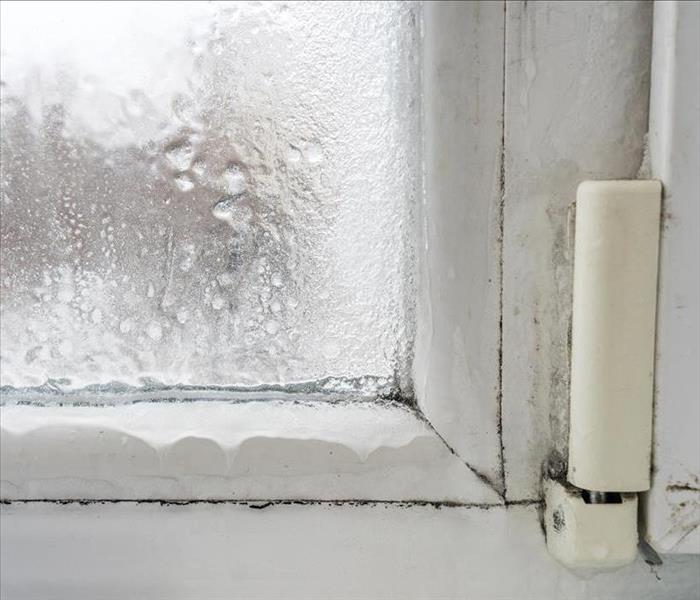 snow, condensation on window, mold growth in black