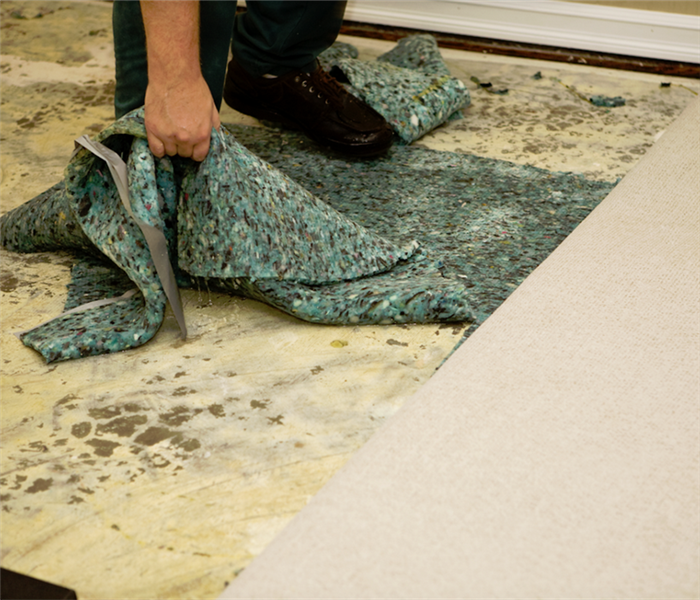 a person pulling up water damaged carpeting