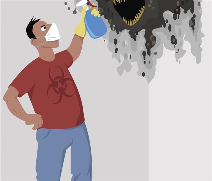 cartoon of man spraying mold damage on a wall