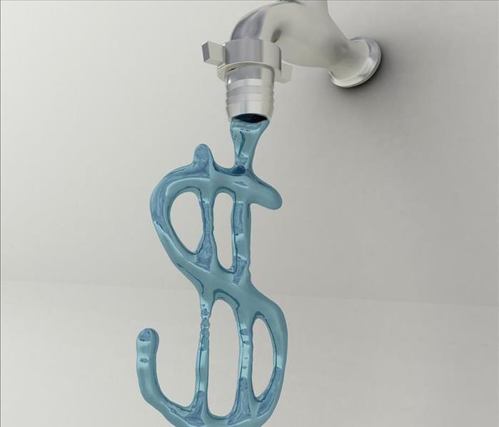 silver faucet with blue water pouring out in the shape of a money sign