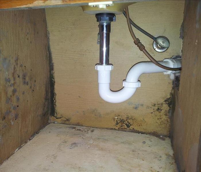 mold under leaking sink vanity